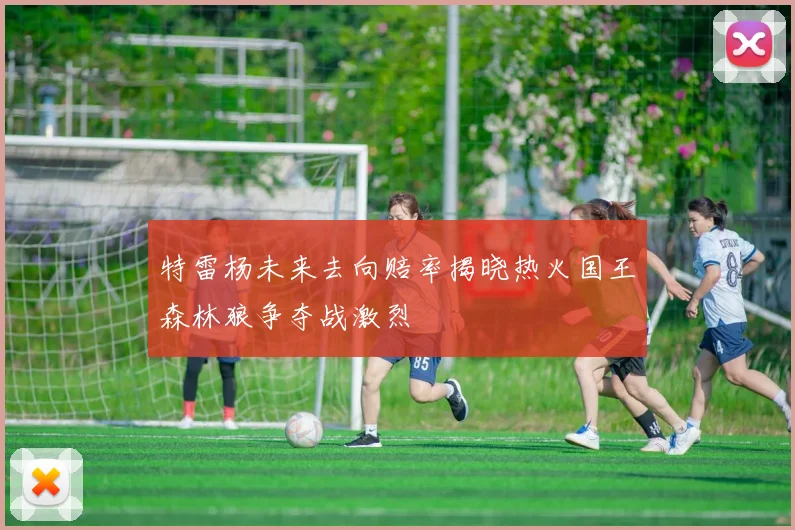 特雷杨未来去向赔率揭晓热火国王森林狼争夺战激烈