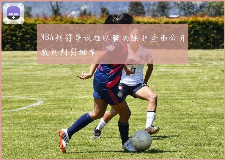 NBA判罚争议难以解决除非全面公开裁判判罚细节