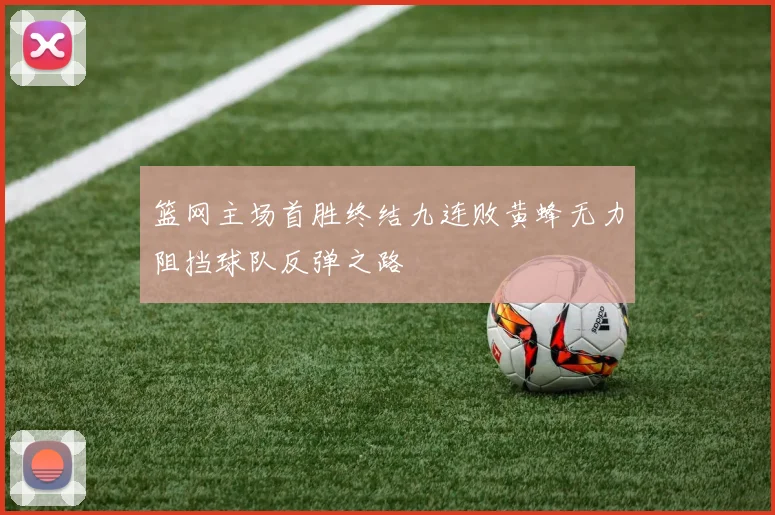 篮网主场首胜终结九连败黄蜂无力阻挡球队反弹之路